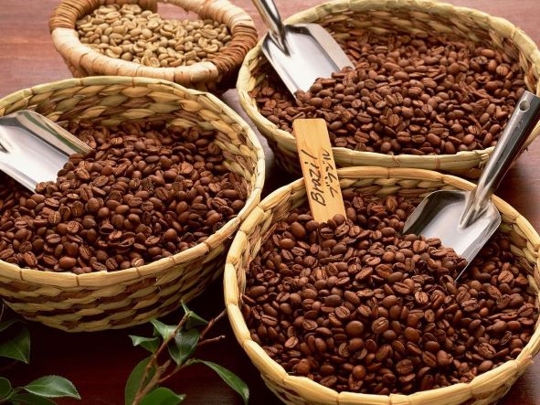Le prix moyen à l exportation du café vietnamien atteint son plus haut niveau depuis 2018